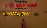 VJVGACap(纳加VJVGA采集) 2.7 官方版